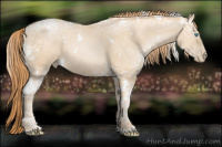Horse Color:White Spotted Buckskin Ice Pearl 