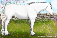Horse Color:Palomino Snowcap 