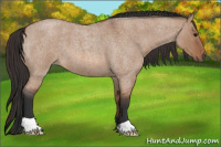 Horse Color:Bay Roan Dun 