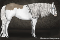 Horse Color:Silver Smoky Black Splash