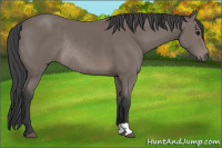 Horse Color:Black Rabicano 