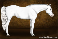 Horse Color:Silver Brown Tobiano Frame Appaloosa