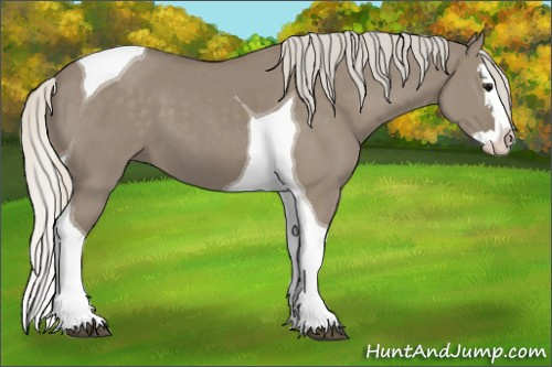 Horse Color: Silver Smoky Grullo Splash Tobiano 