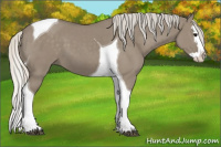 Horse Color:Silver Smoky Grullo Splash Tobiano 