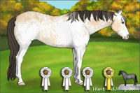 Horse Color:White Spotted Buckskin Roan Dun 
