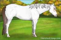 Horse Color:White Spotted Amber Champagne Frame 