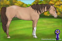 Horse Color:Amber Champagne 
