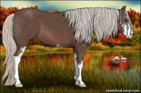 Horse Color:Silver Black Sabino