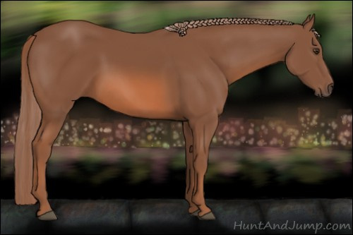 Horse Color: Chestnut 