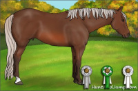 Horse Color:Silver Bay 