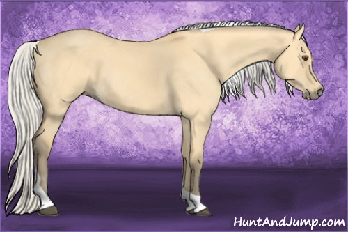 Horse Color: Silver Buckskin Dun Tobiano 