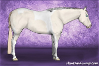 Horse Color:Perlino Dun Tobiano 