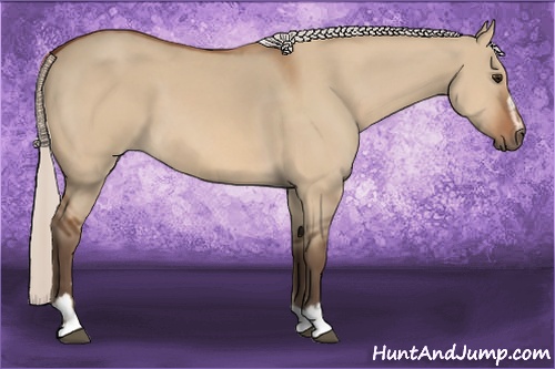 Horse Color: Silver Bay Dun Sabino 