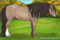 Horse Color:Sable Champagne 