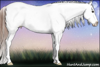Horse Color:White Spotted Brown Appaloosa 