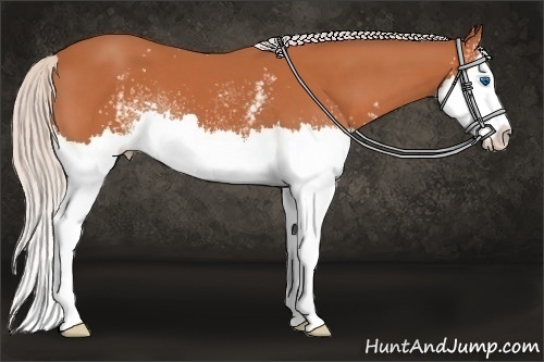 Horse Color: White Spotted Silver Bay Splash 
