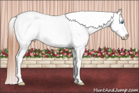 Horse Color:Bay Splash Varnish 