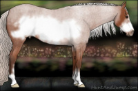 Horse Color:Silver Bay Roan Sabino Frame