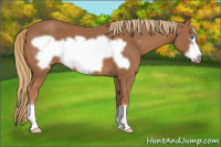 Horse Color:Chestnut Frame