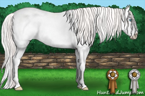 Horse Color: White Spotted Perlino Dun Splash 