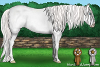 Horse Color:White Spotted Perlino Dun Splash 