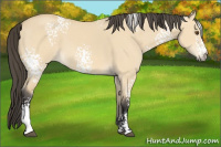 Horse Color:White Spotted Buckskin Dun 