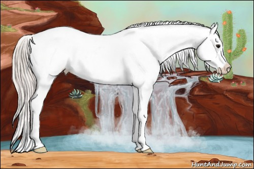 Horse Color: Silver Brown Tobiano Blanket 