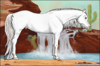 Horse Color:Silver Brown Tobiano Appaloosa 