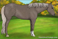 Horse Color:Silver Black 