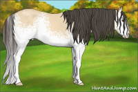 Horse Color:White Spotted Buckskin Dun 
