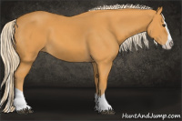 Horse Color:Palomino Splash 