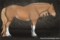 Horse Color:Chestnut Tobiano Rabicano 