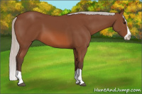 Horse Color:Silver Bay Splash 