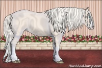 Horse Color:Cremello Splash 