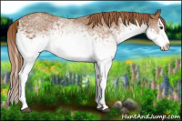 Horse Color:White Spotted Chestnut Splash 