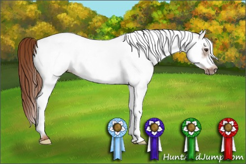 Horse Color: White Spotted Chestnut Frame 
