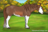 Horse Color:Chestnut Splash 
