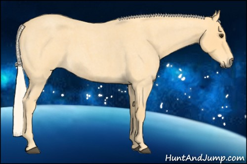 Horse Color: Palomino Roan 