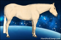 Horse Color:Palomino Roan 