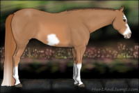 Horse Color:Chestnut Splash Frame