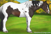 Horse Color:Brown Tobiano 