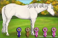 Horse Color:Cremello Dun 