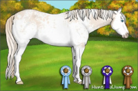 Horse Color:White Spotted Perlino Splash 