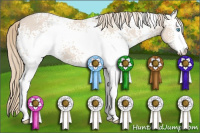 Horse Color:White Spotted Smoky Creme Sabino 