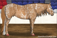 Horse Color:Amber Champagne Splash Tobiano  Brindle