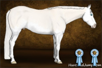 Horse Color:Cremello Dun Sabino Splash Rabicano 