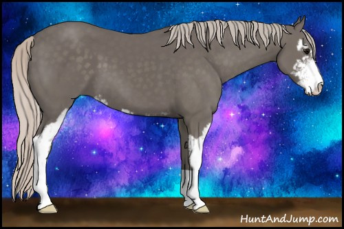 Horse Color: Silver Black Sabino 