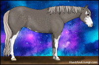 Horse Color:Silver Black Sabino 