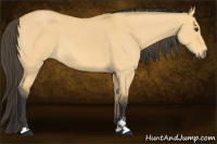 Horse Color:Buckskin Dun Sabino 