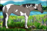 Horse Color:Grullo Tobiano 